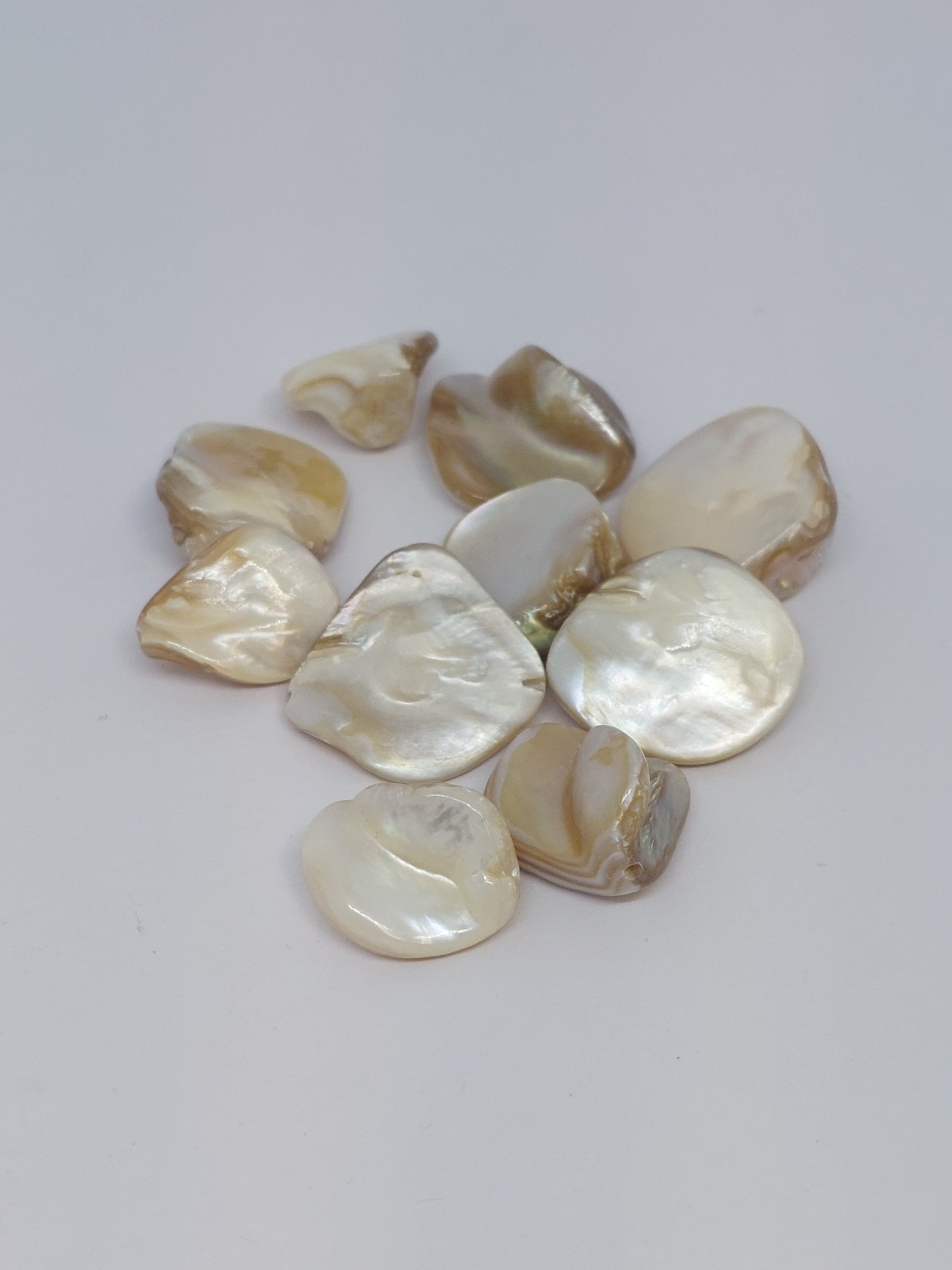 Schelpkraal Naturel