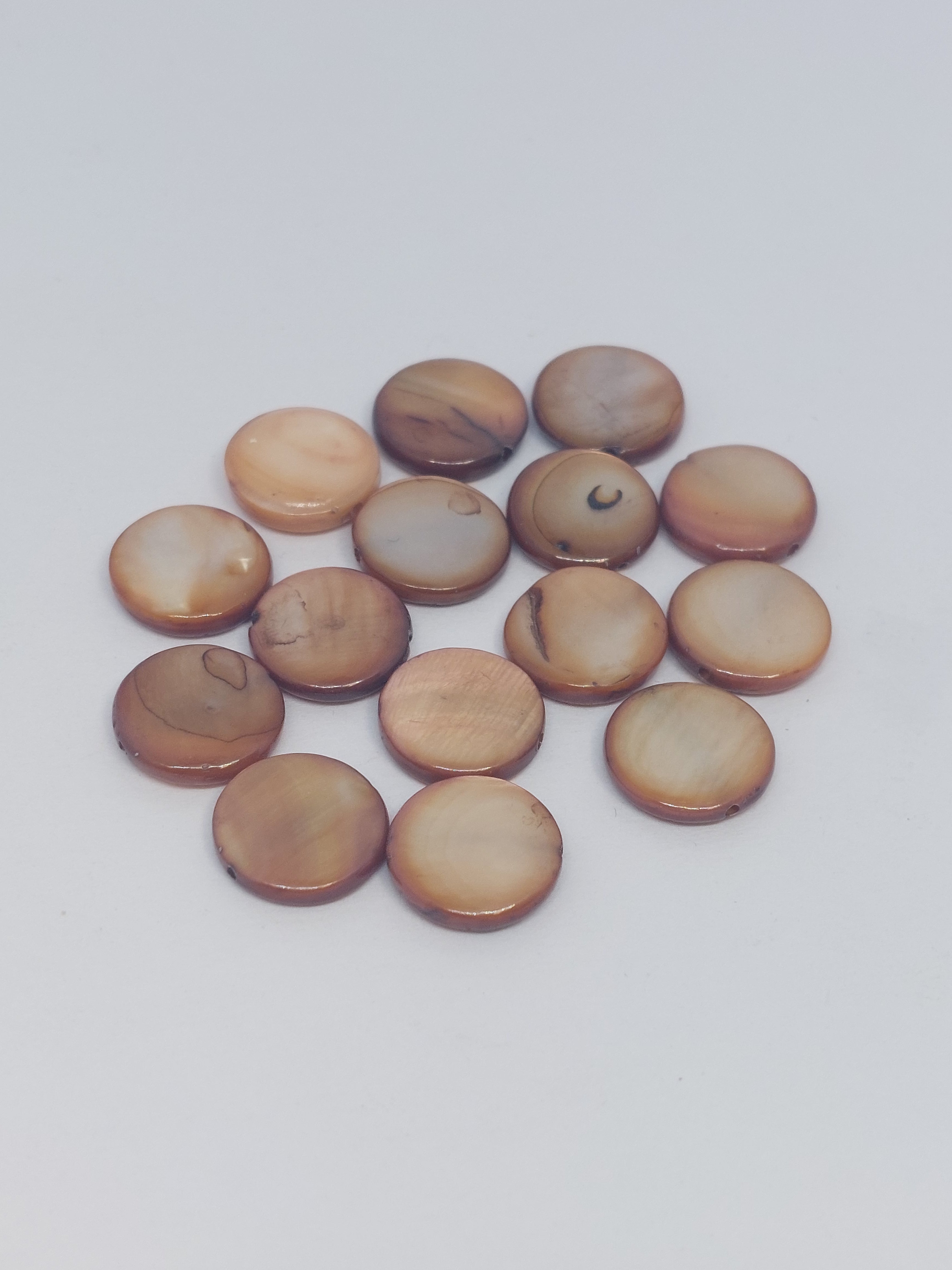 Schelpkraal Rond bruin