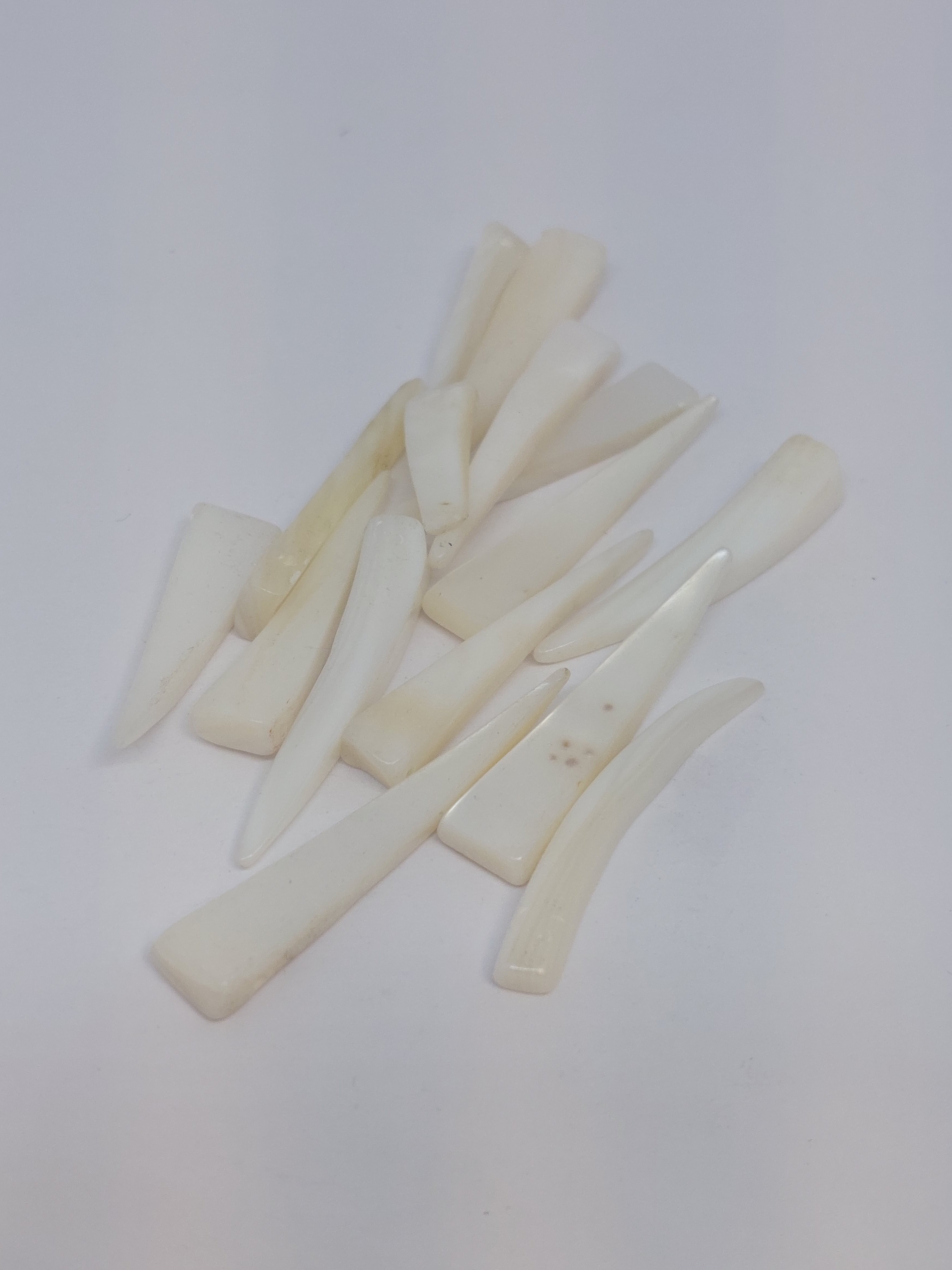 Schelpkraal tand Naturel/wit