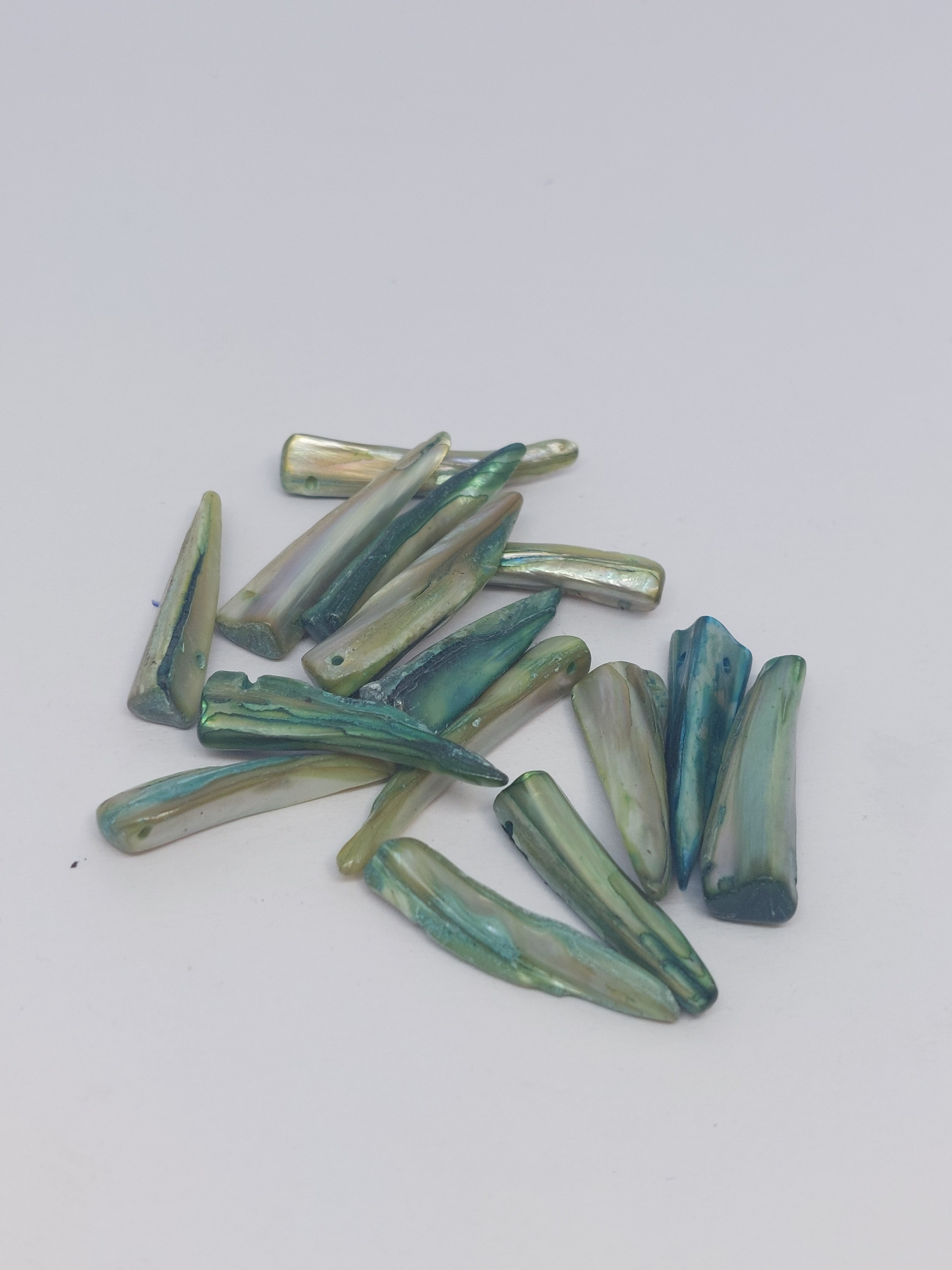 Schelpkraal tand Groen