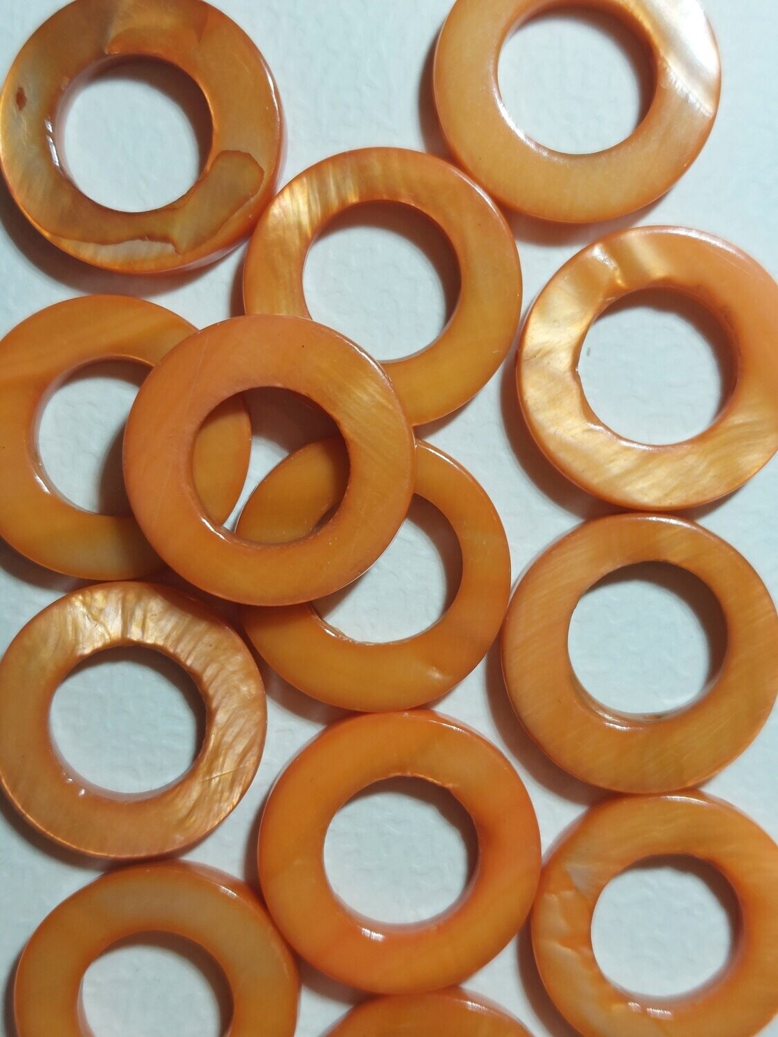 Schelpkraal Rond oranje
