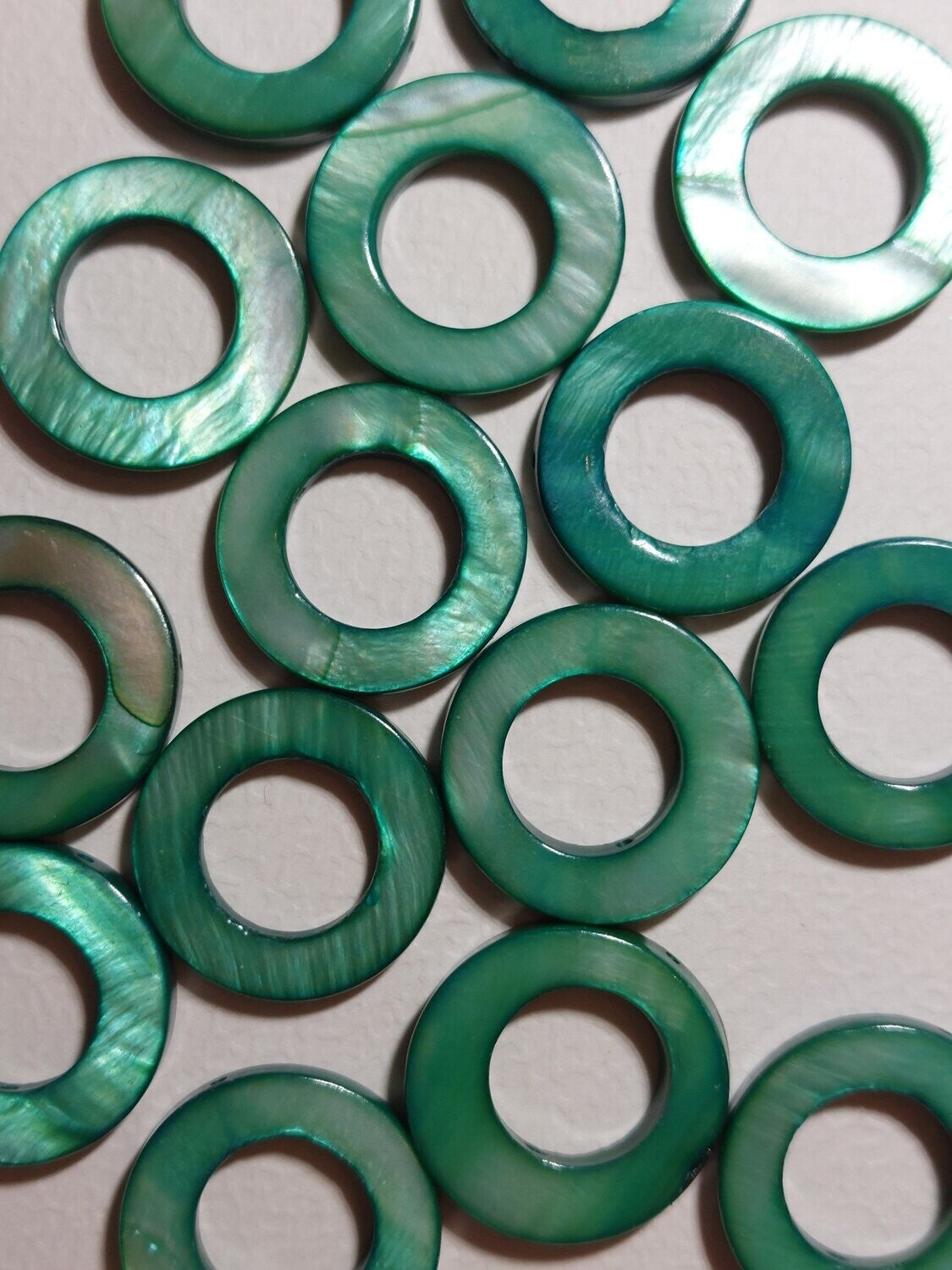 Schelpkraal Rond groen