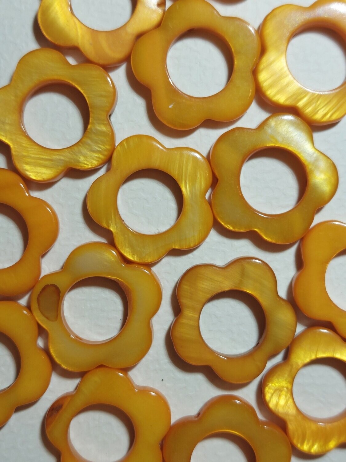 Schelpkraal Bloem geel