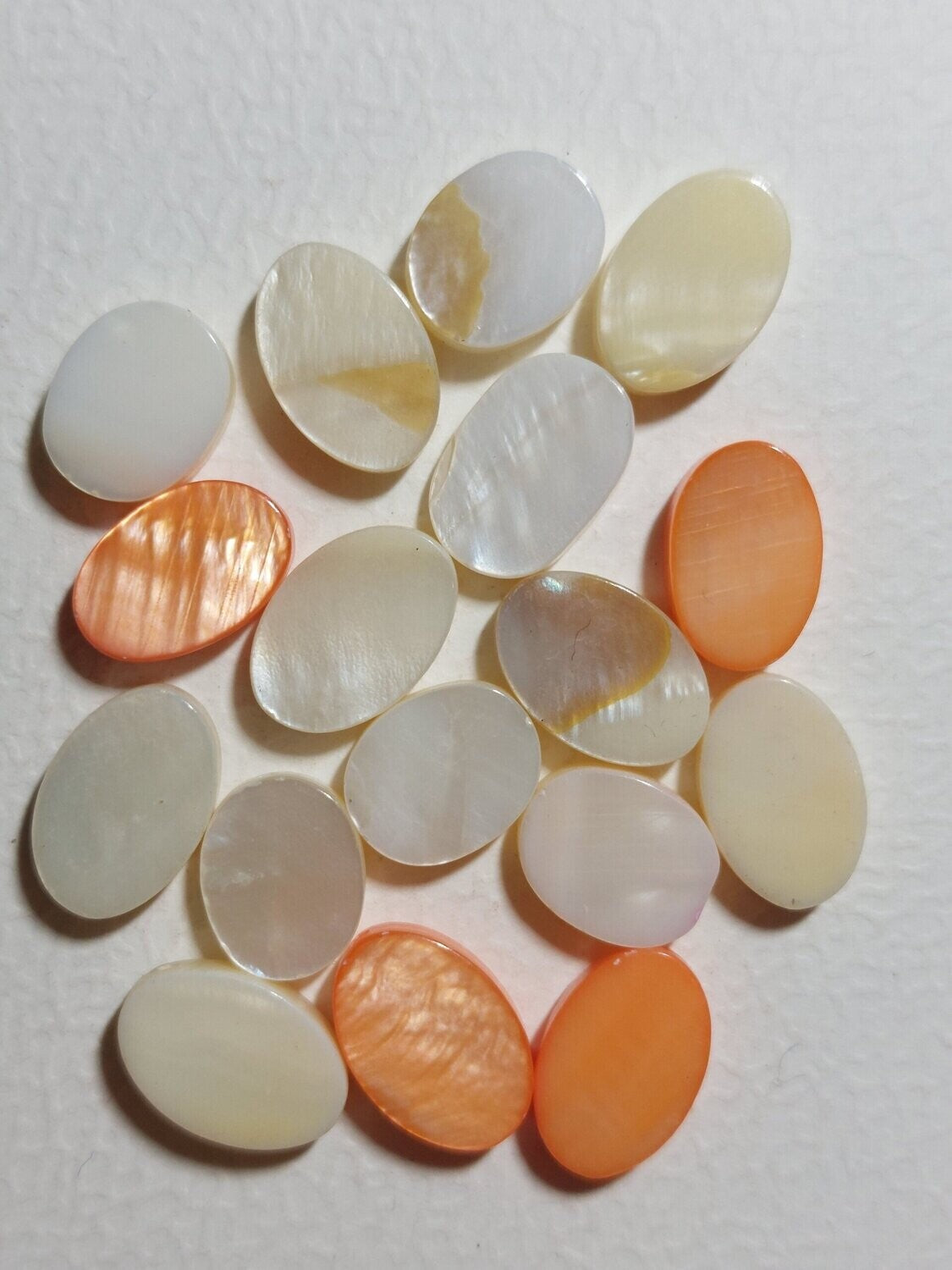 Schelpkraal Ovaal mix3