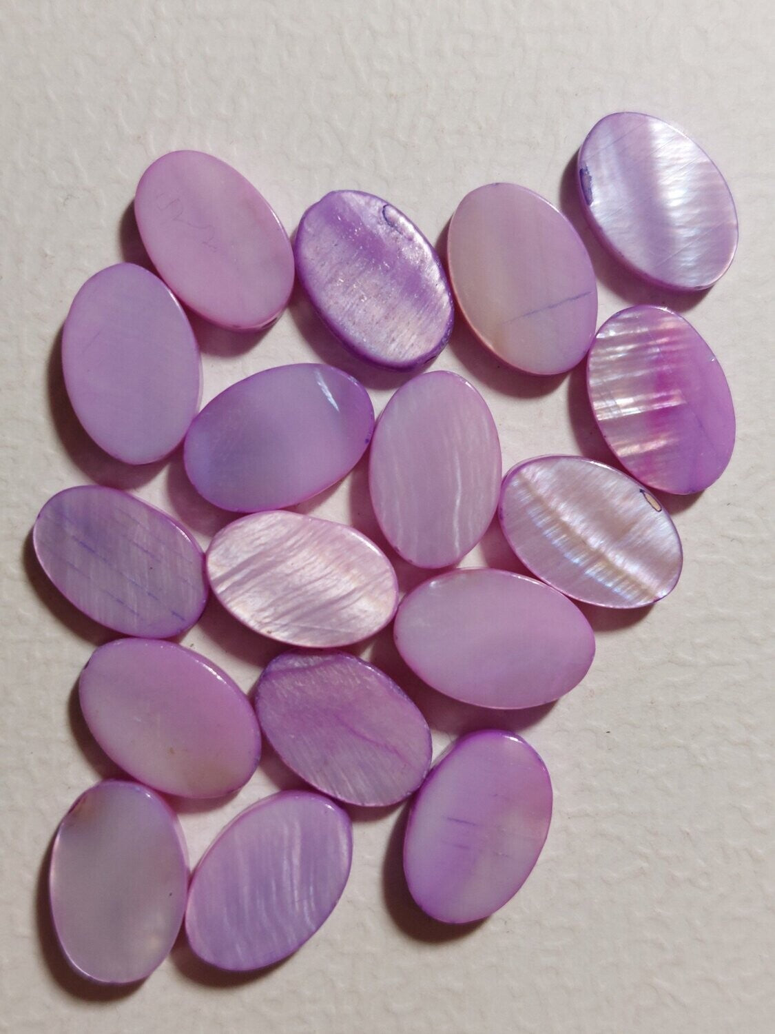 Schelpkraal Ovaal lila