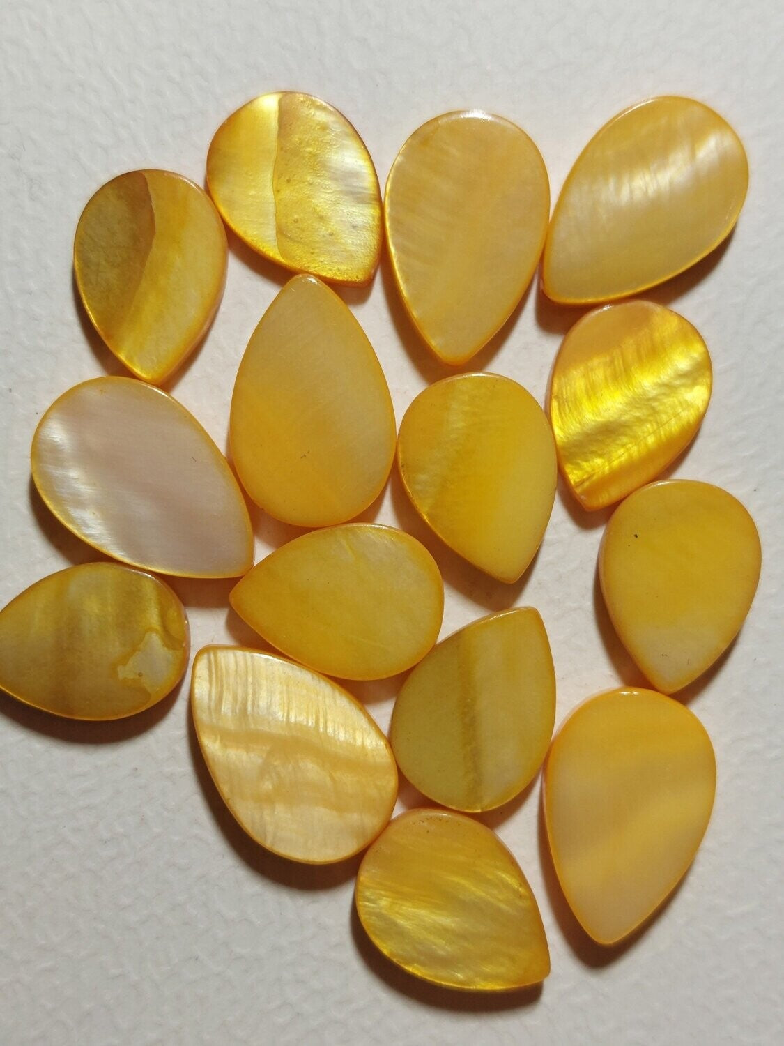 Schelpkraal Traan geel