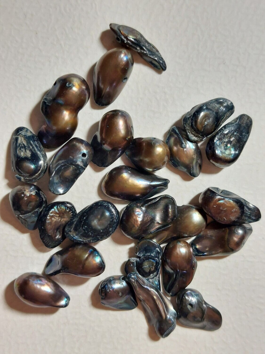 Zoetwaterparel Sepia