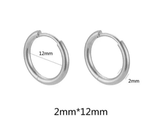 Oorbel 12 mm zilver (RVS)