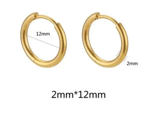 Oorbel goud 12 mm (RVS)