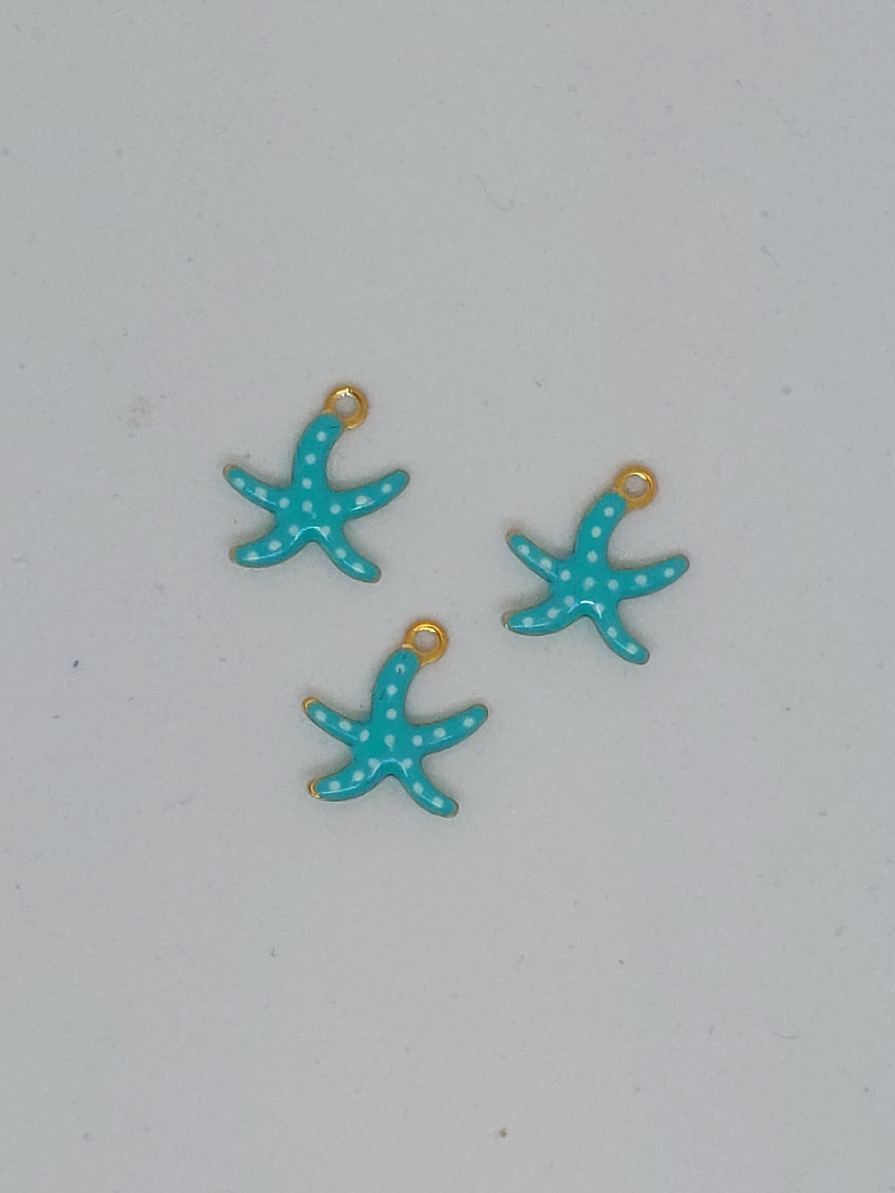 Bedel zeester mint RVS