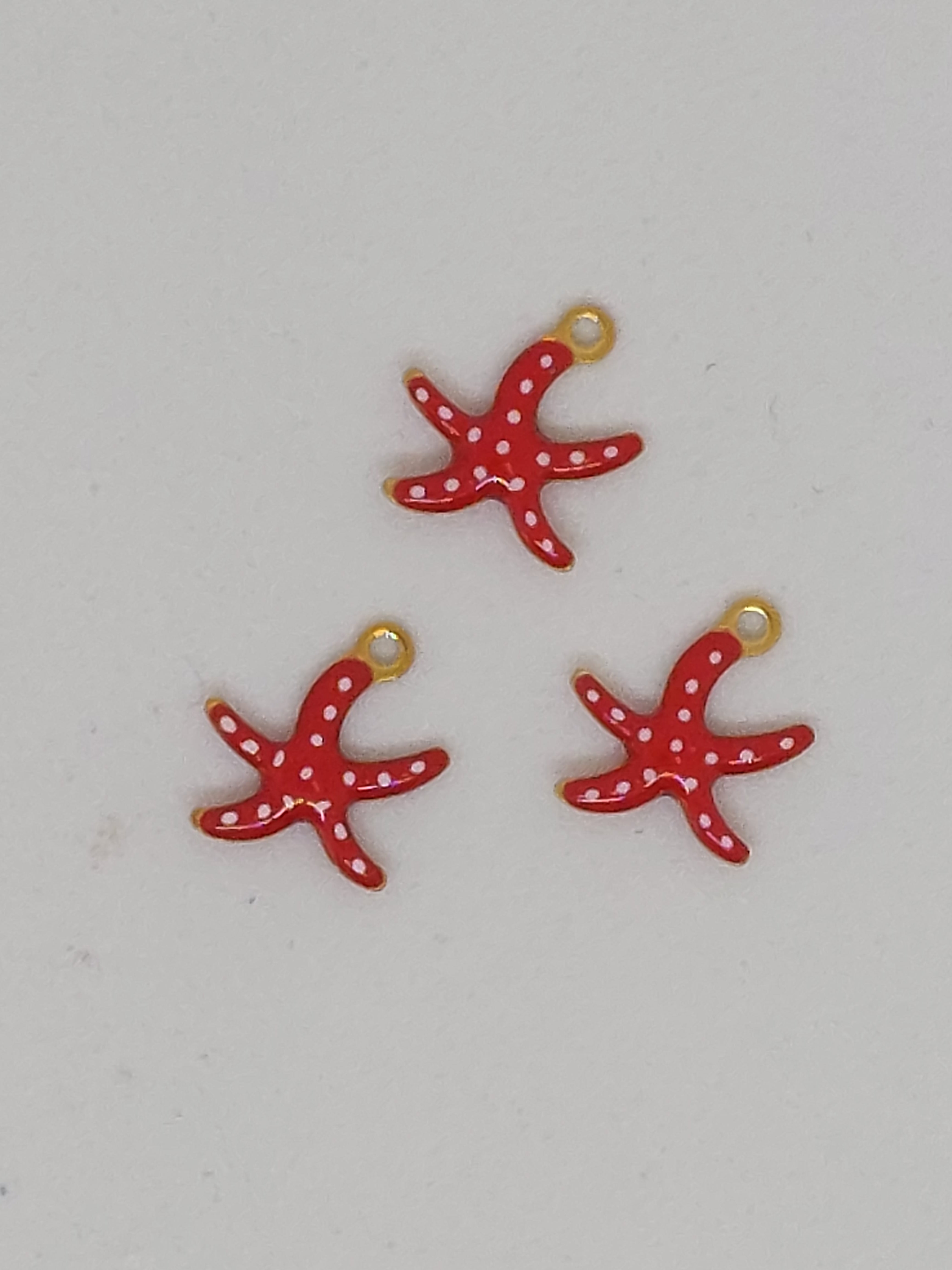 Bedel zeester rood RVS