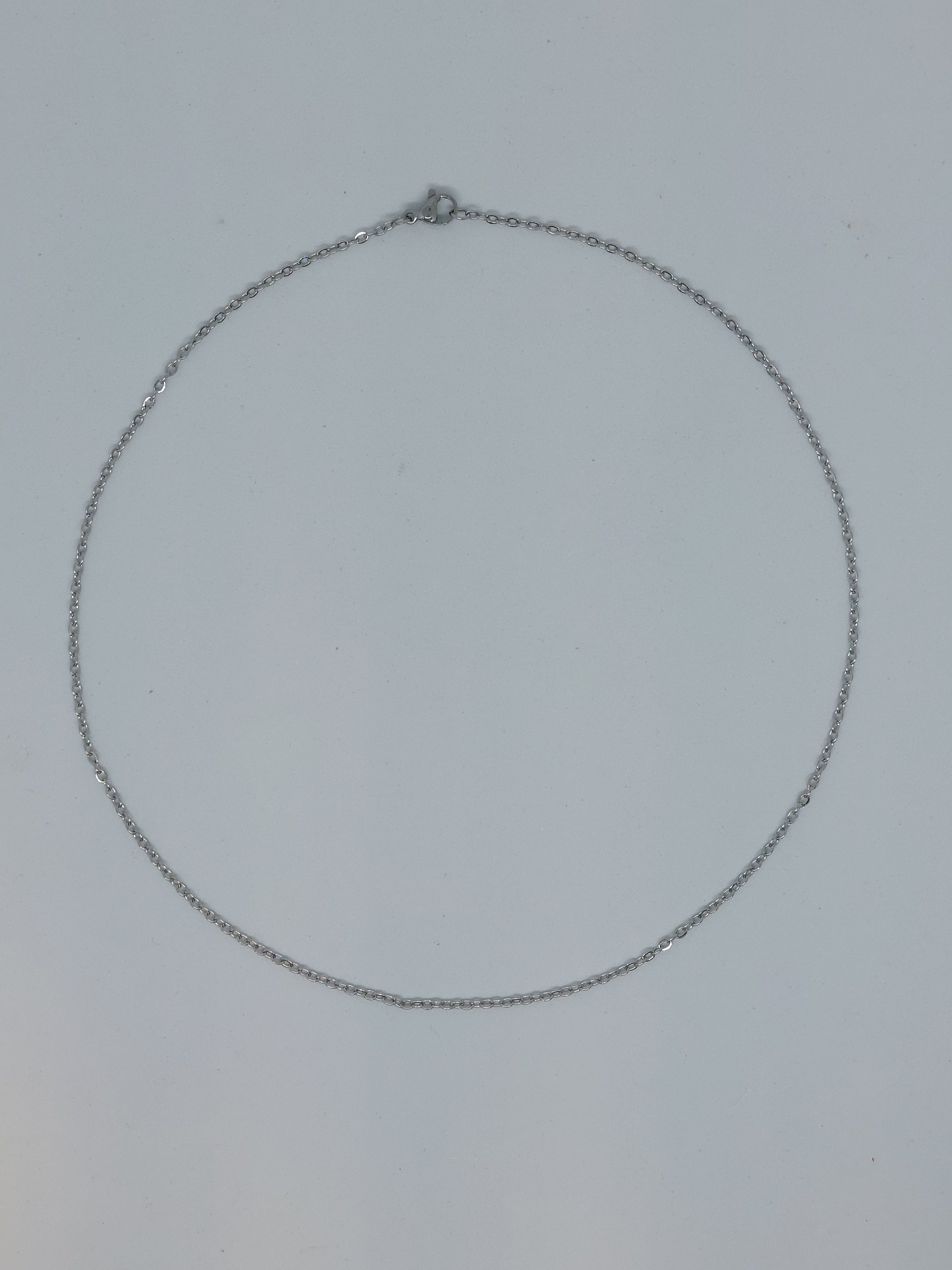 Ketting fijn zilverkleurig (RVS)