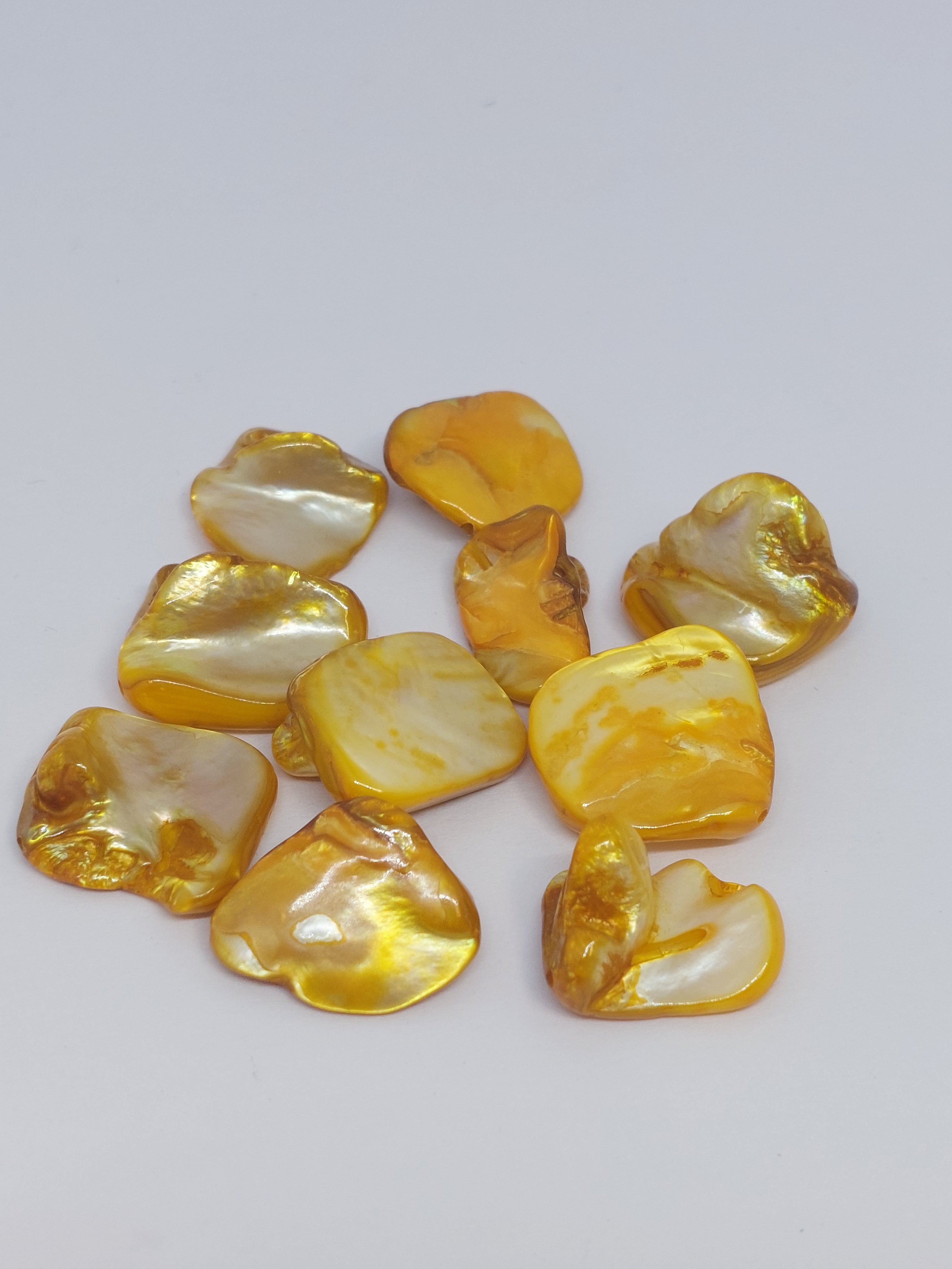 Schelpkraal Oranje