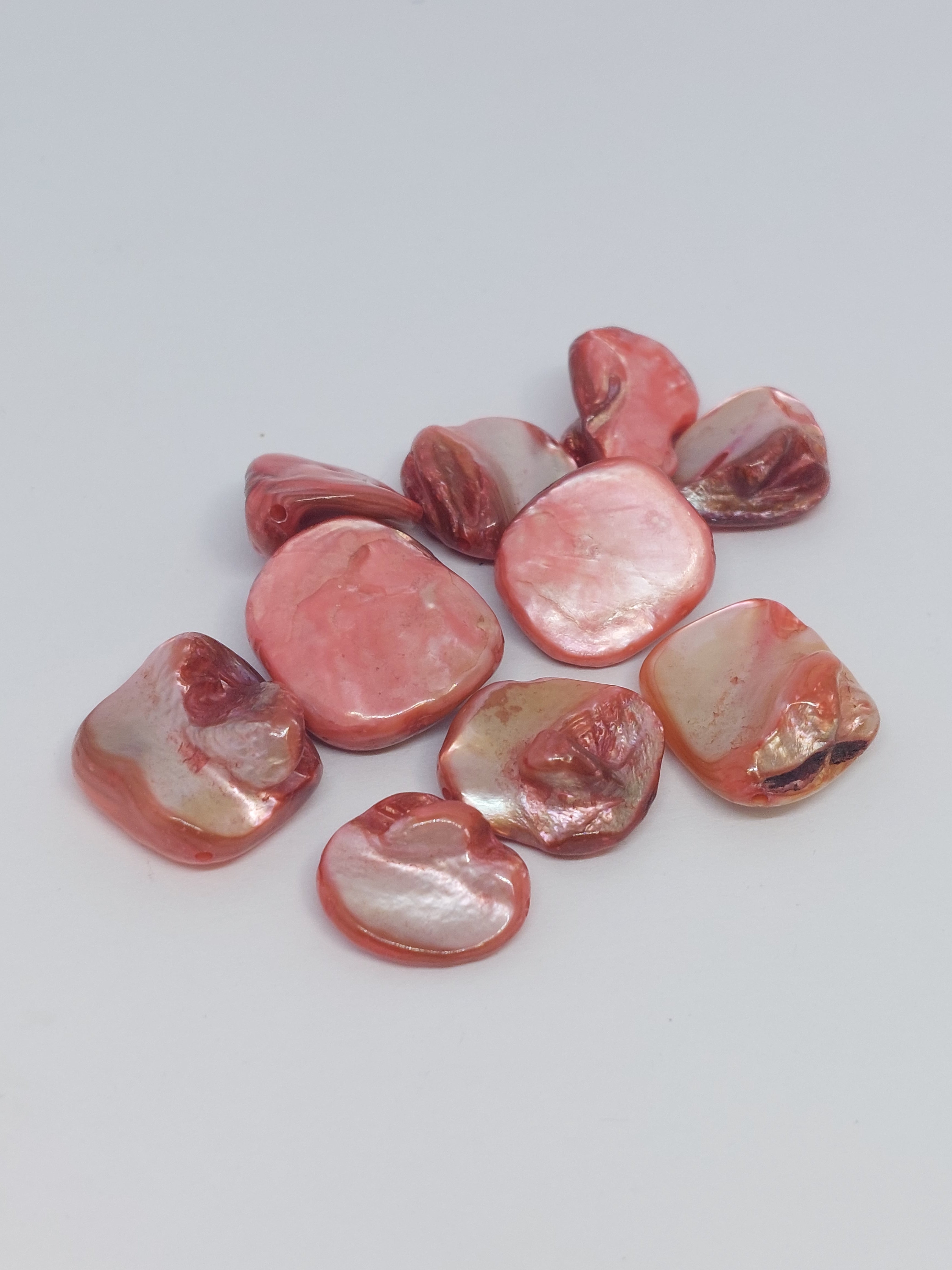 Schelpkraal Rood
