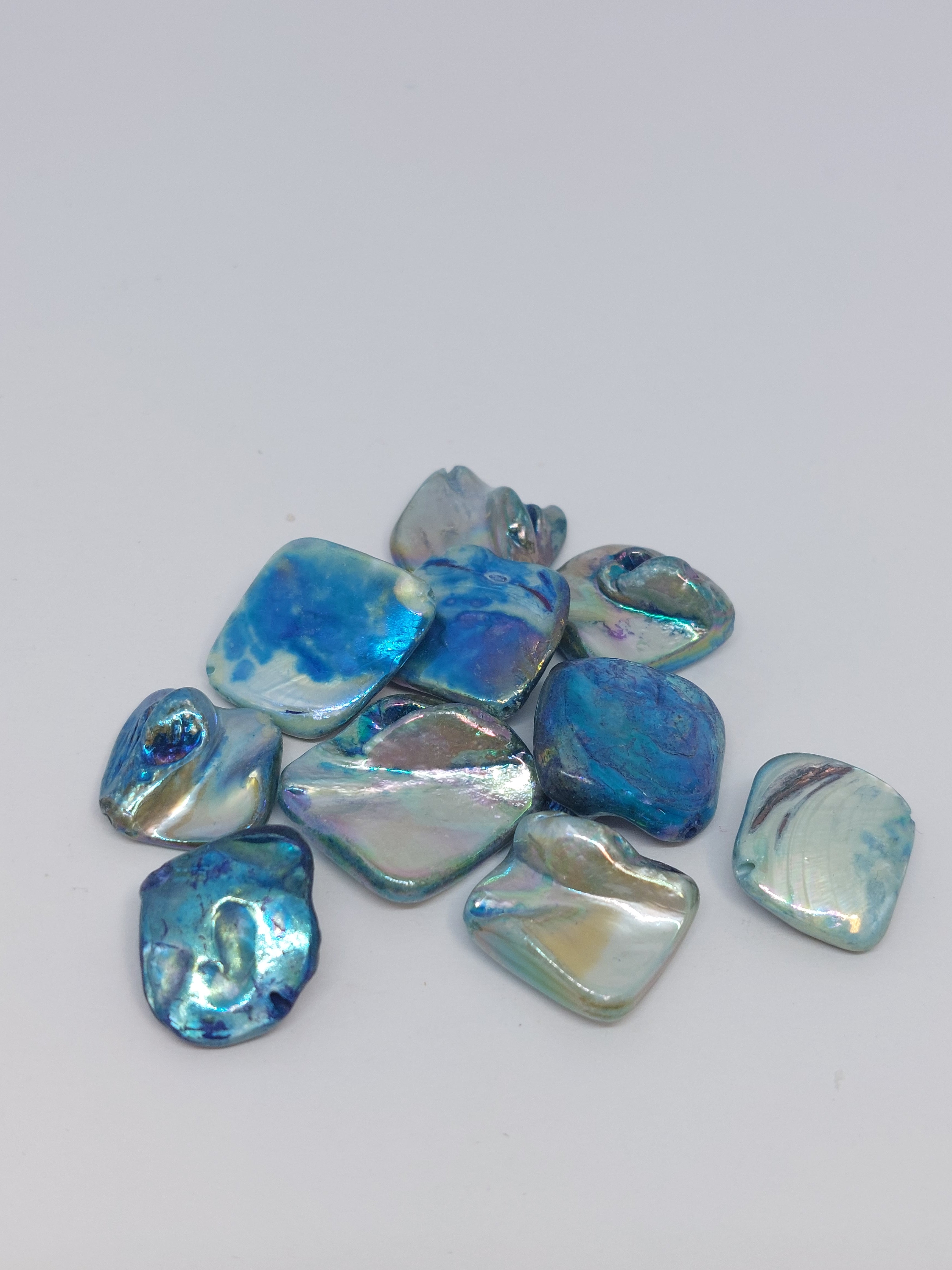 Schelpkraal Blauw