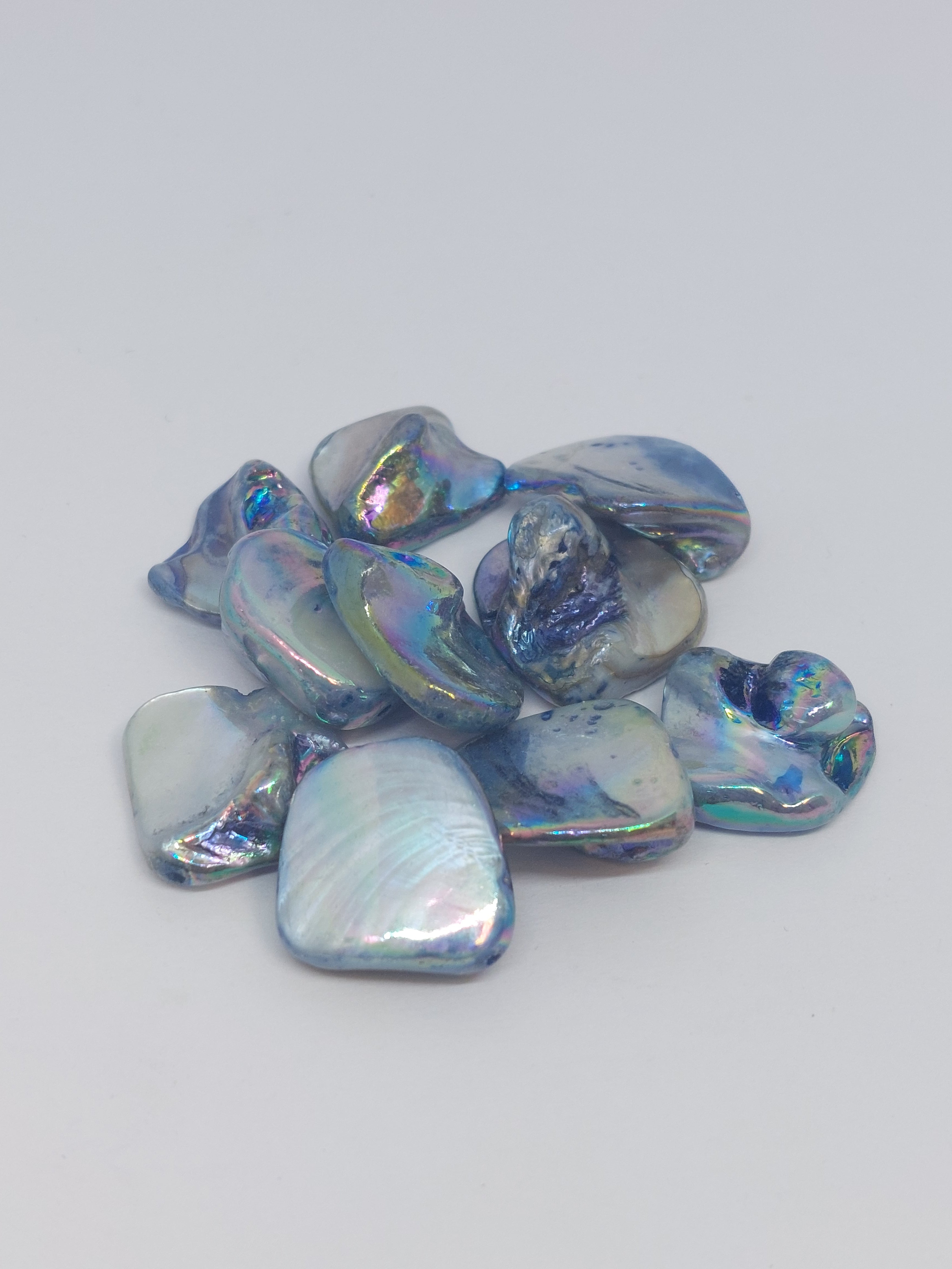 Schelpkraal Blauw/grijs