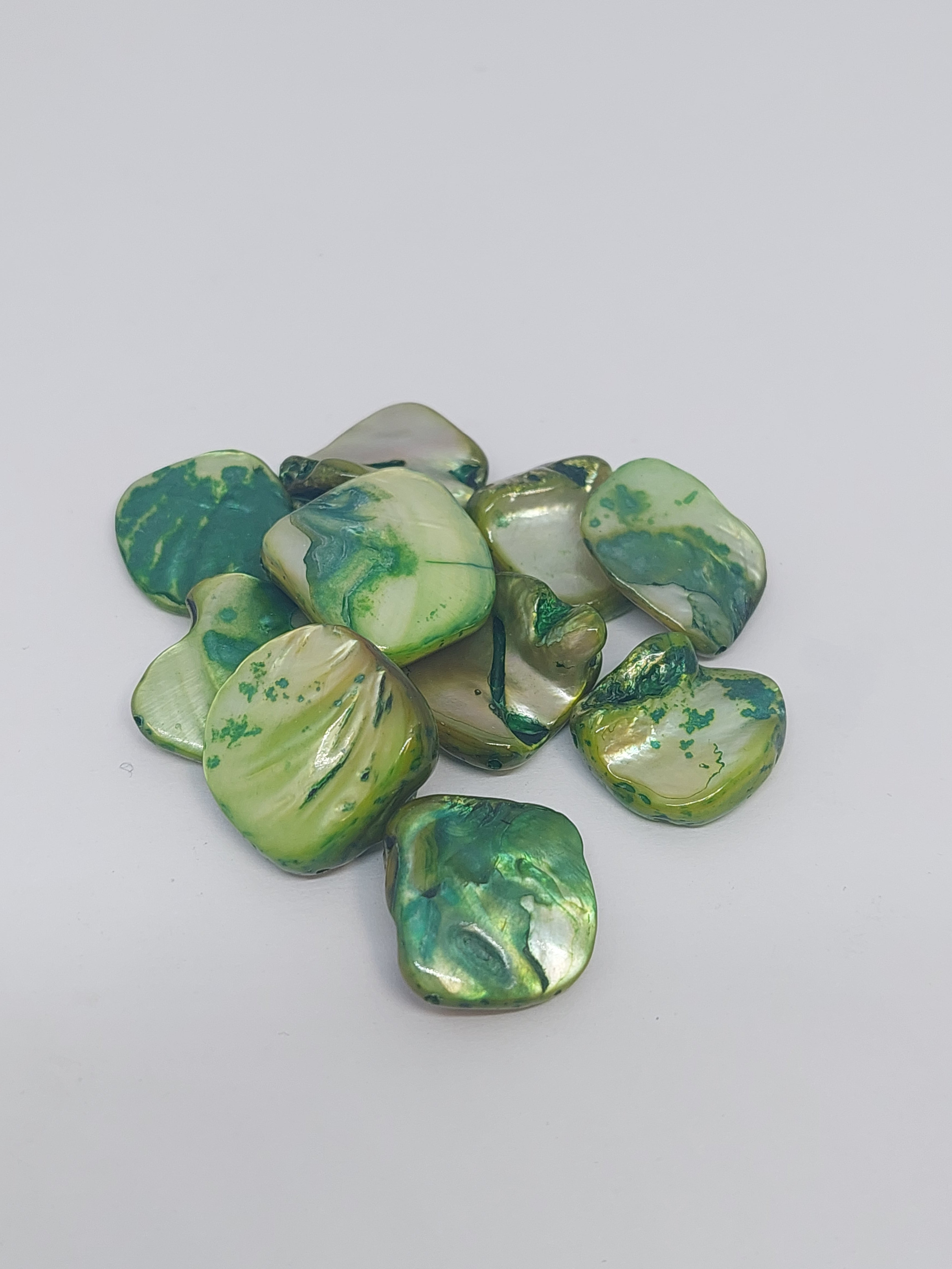 Schelpkraal Donker groen