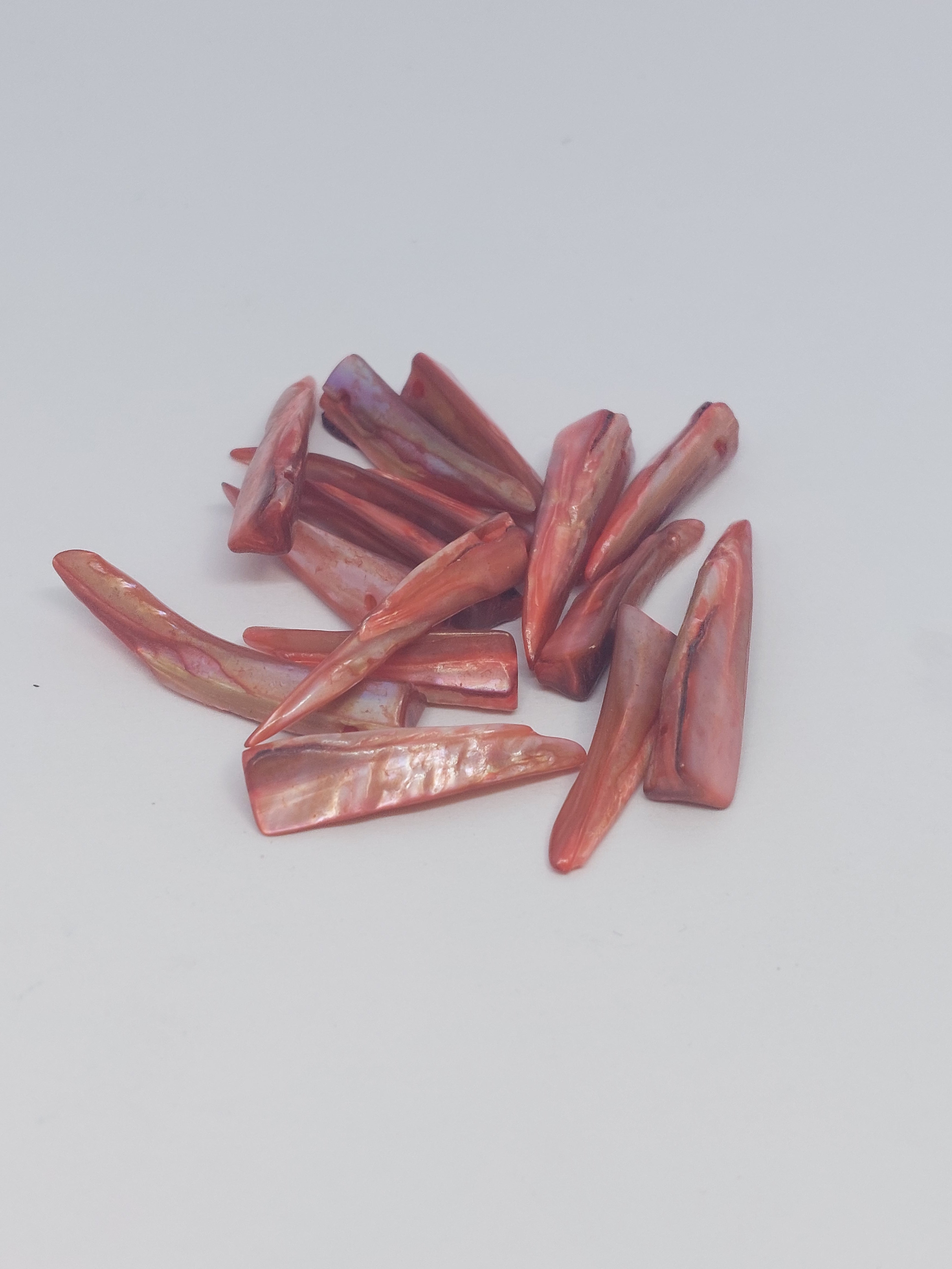 Schelpkraal tand Rood