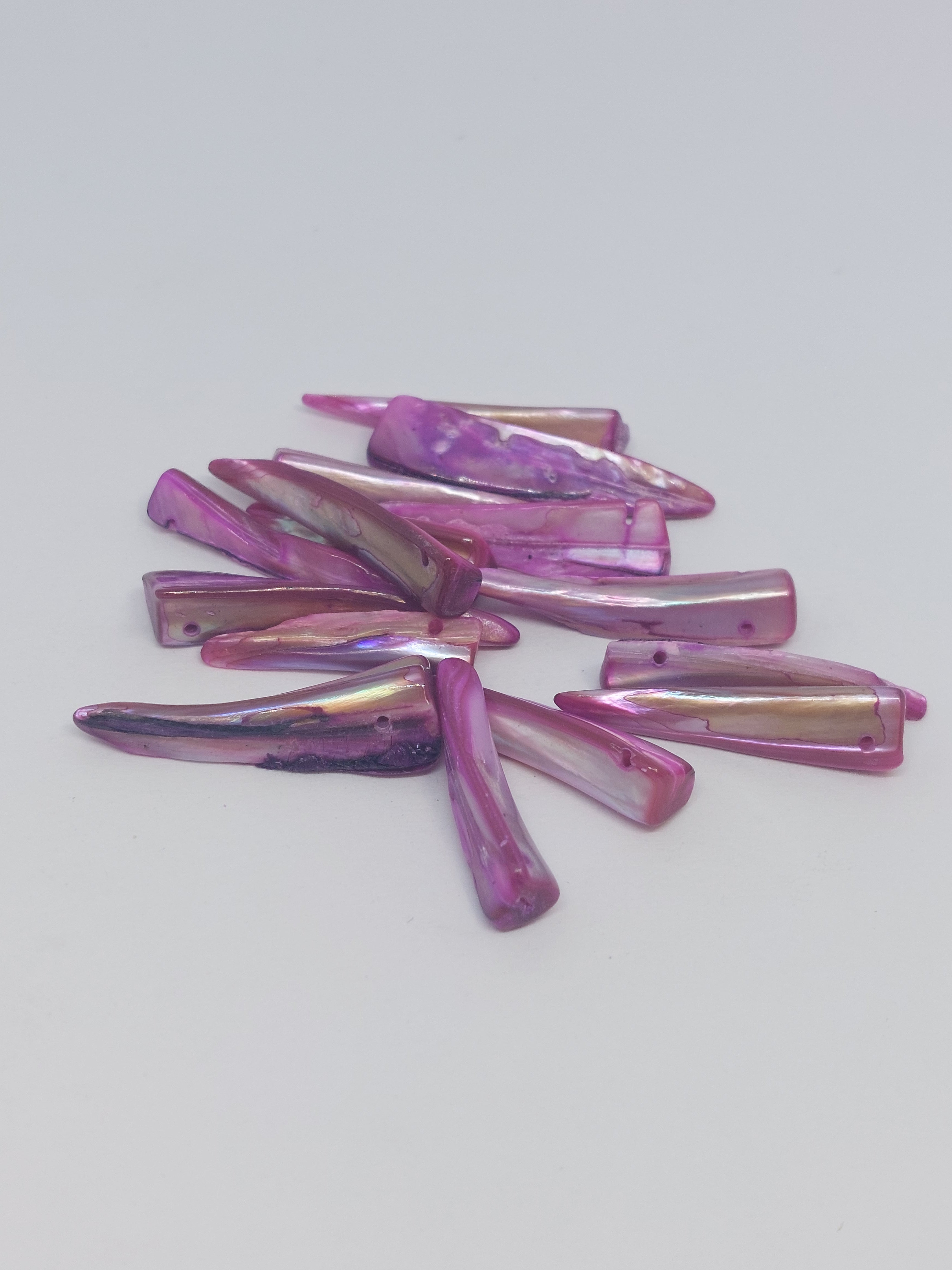 Schelpkraal tand Roze/Paars