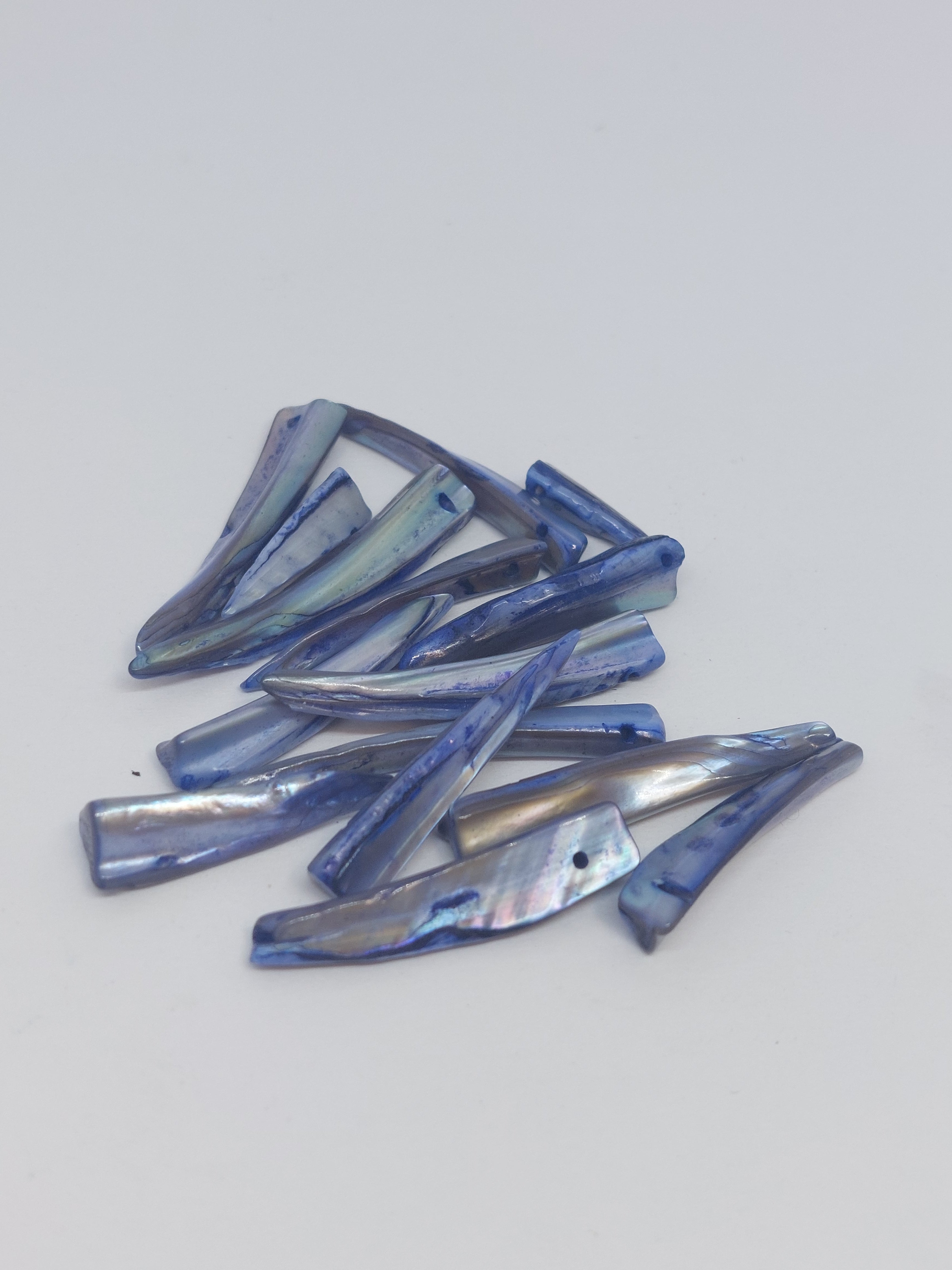 Schelpkraal tand Blauw