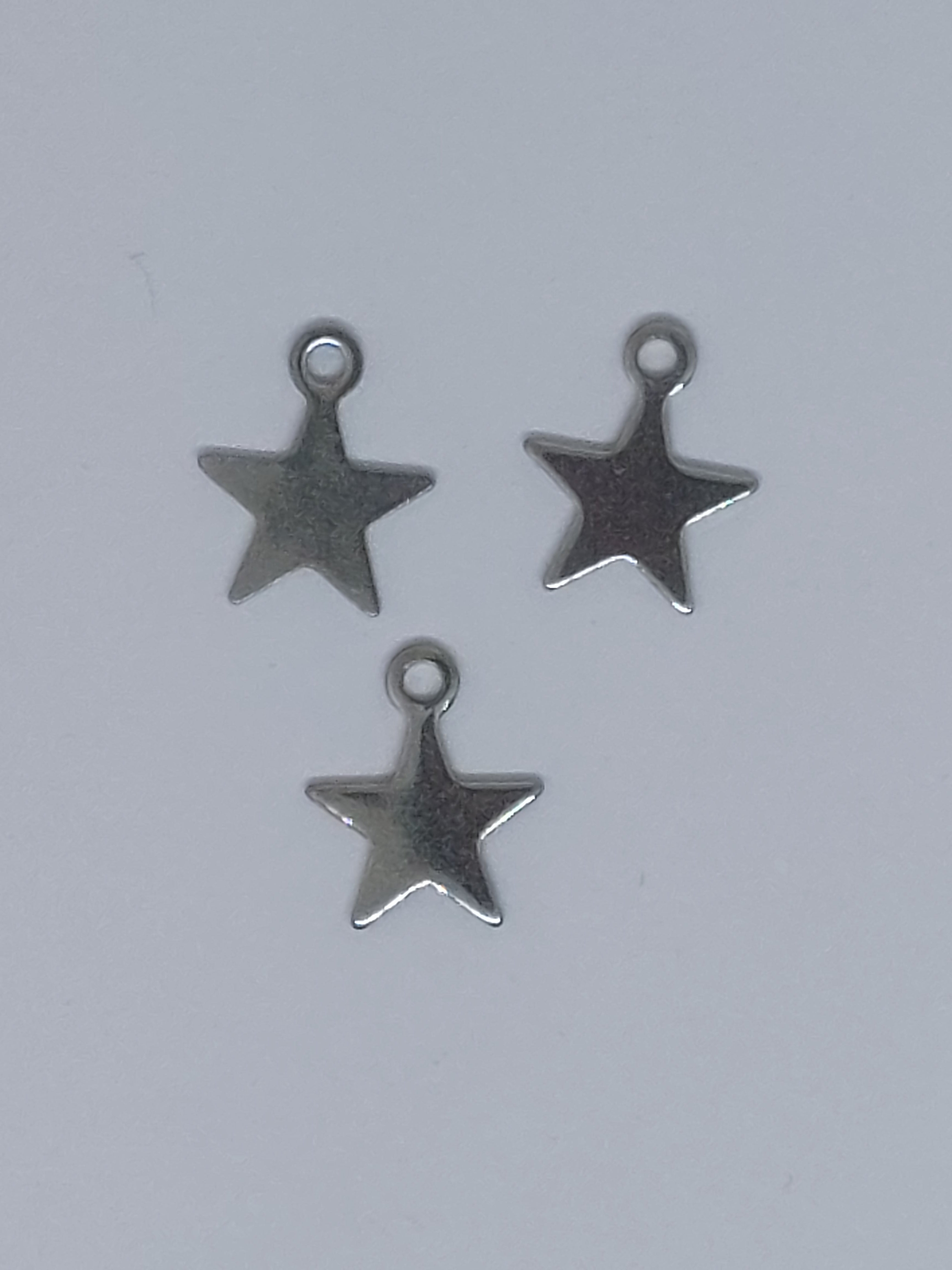 Bedel ster zilverkleurig RVS